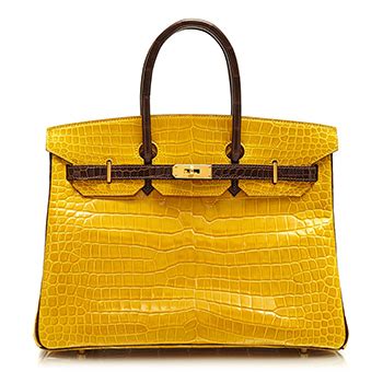 poseta Hermes birkin preturi